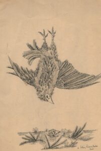 Uccelli sulla palude (da Lucrezio) 2000 (28x21)